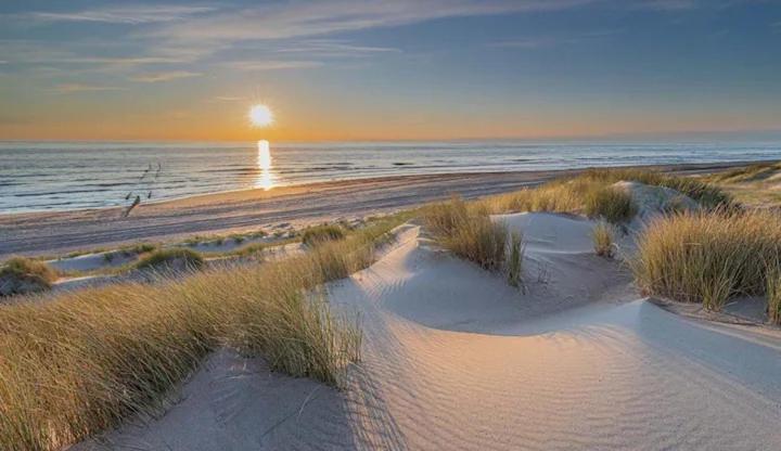 Bondi Beach Renesse Bagian luar foto