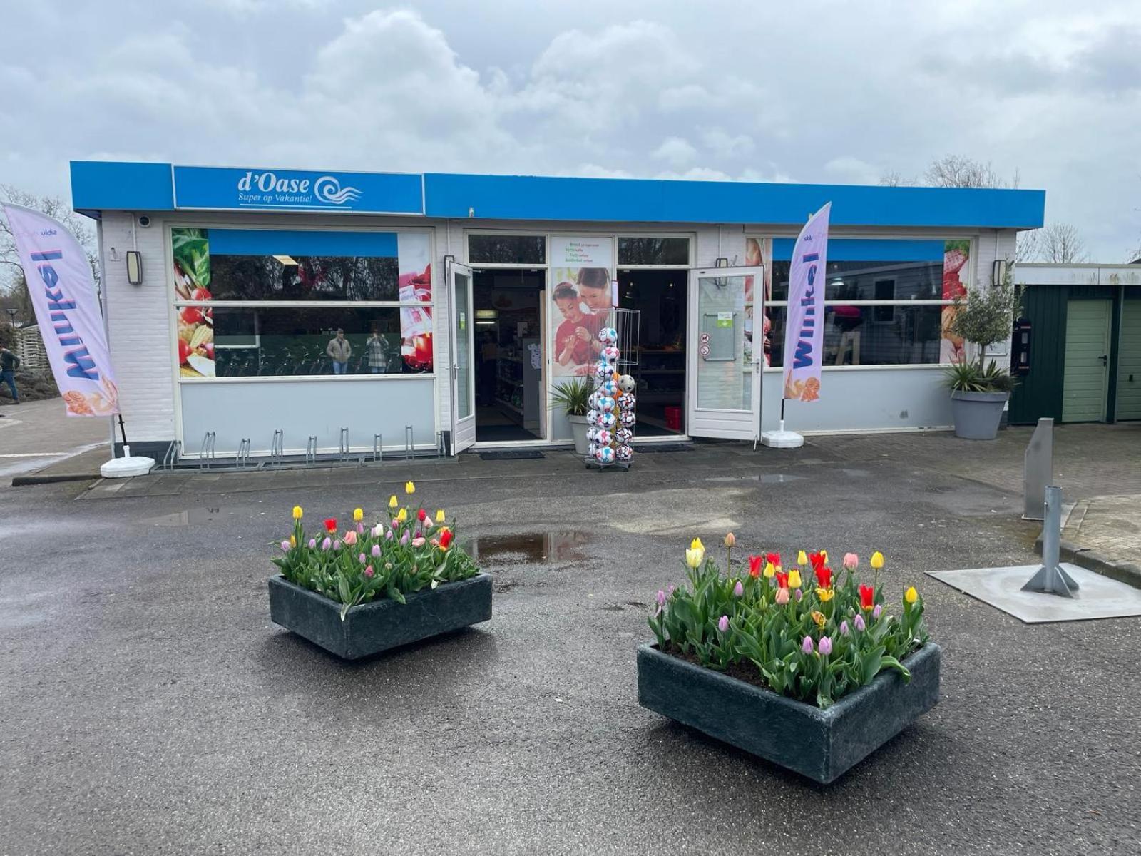 Bondi Beach Renesse Bagian luar foto